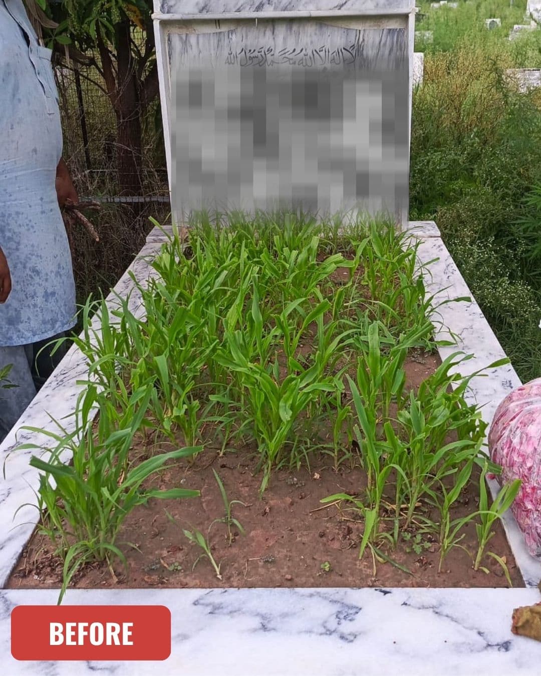 Grave before cleaning in Attock, Punjab