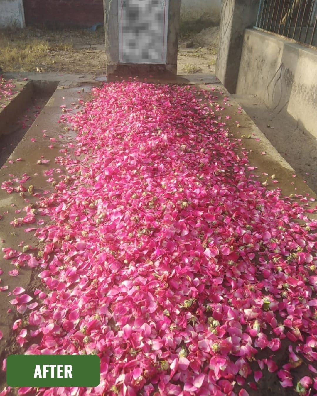 Grave after cleaning in Faisalabad