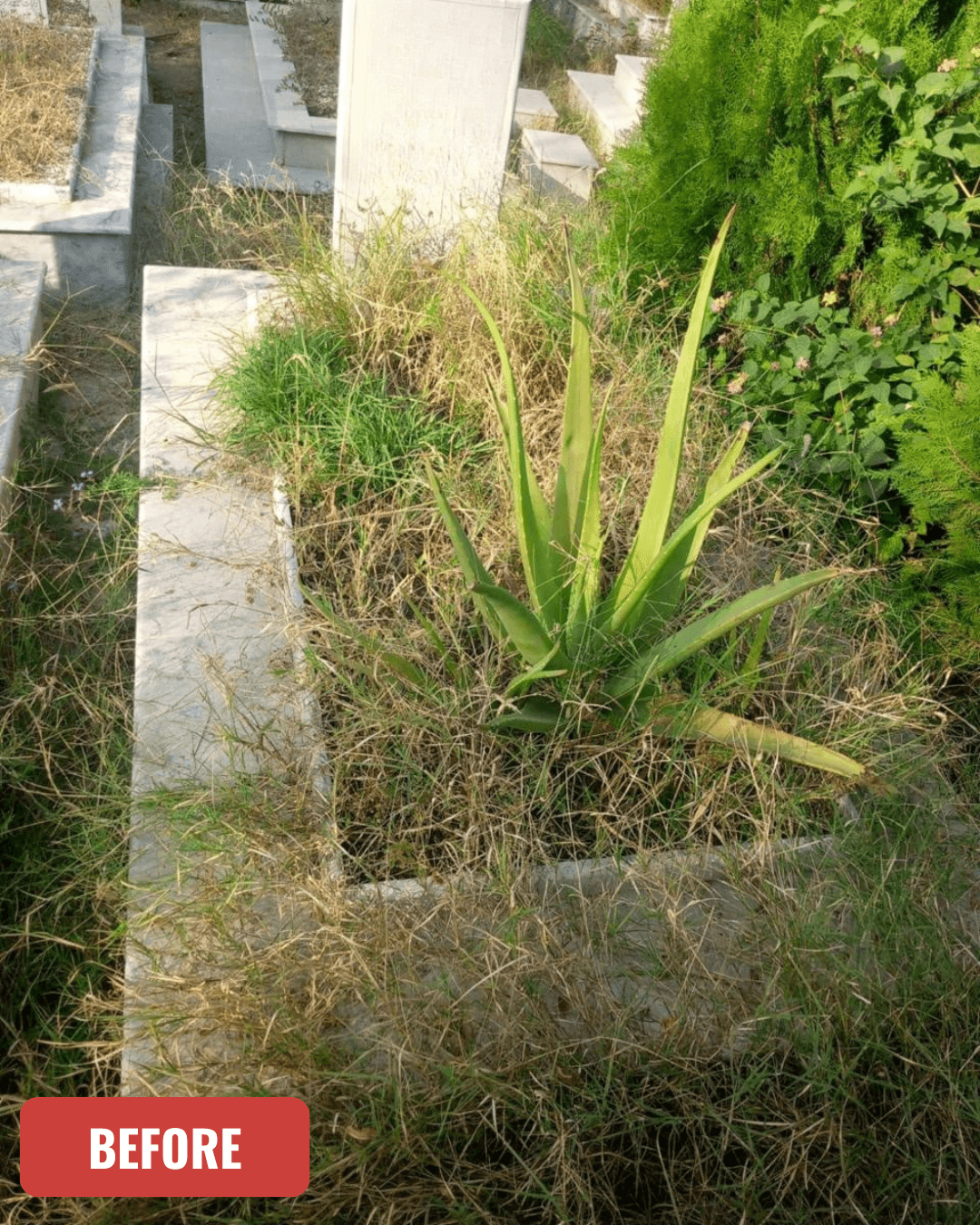 Grave before cleaning in Islamabad