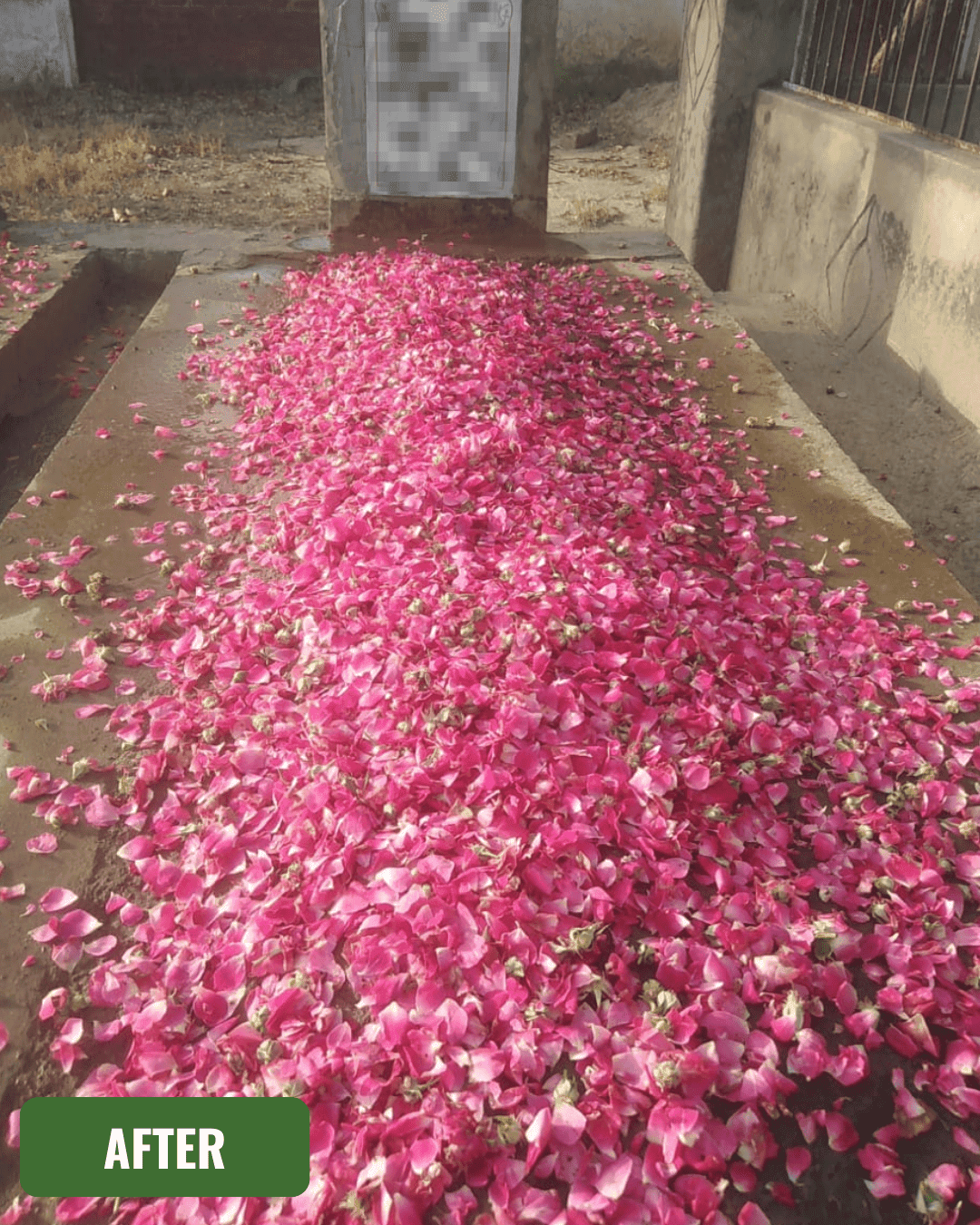 Grave after cleaning in Rawalpindi