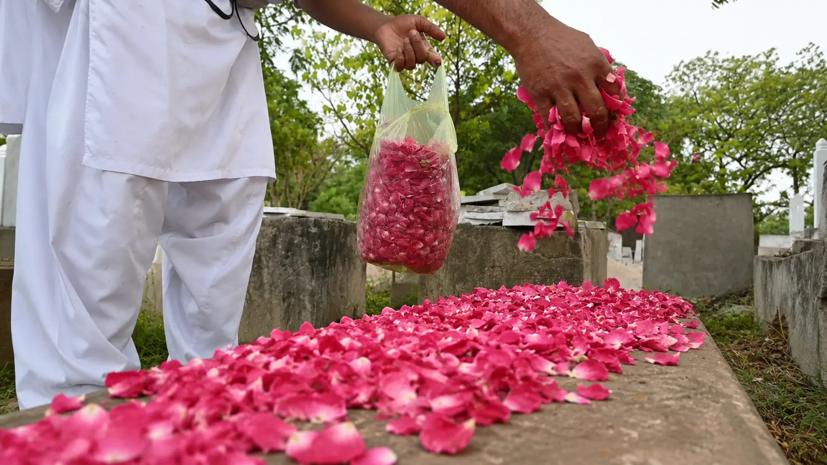 Flowering — Qabar Safai grave care service
